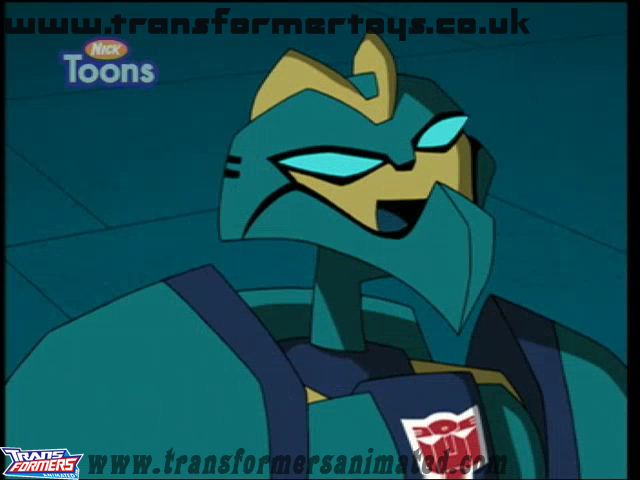 Transformers Animated - wasp cartoon images. 