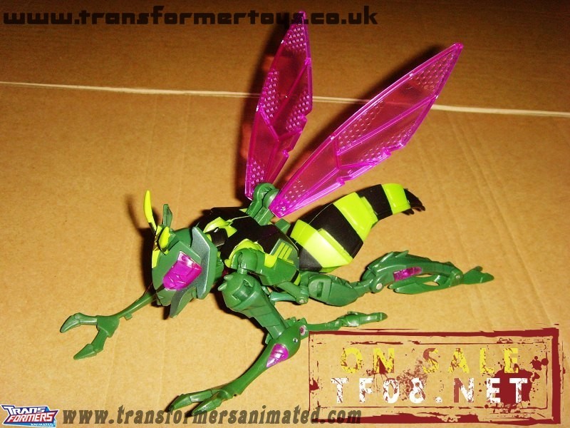 Wasp Character Infomation And Resources At 